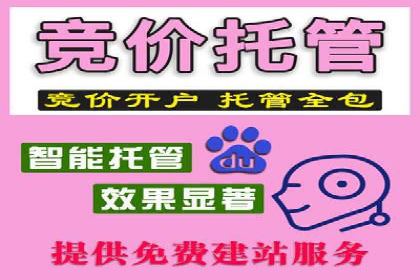 竞价推广策略大揭秘：某企业成功背后的推广公司选择